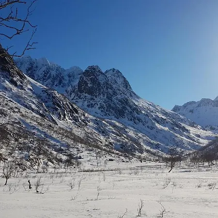 شقة Prima Lofoten