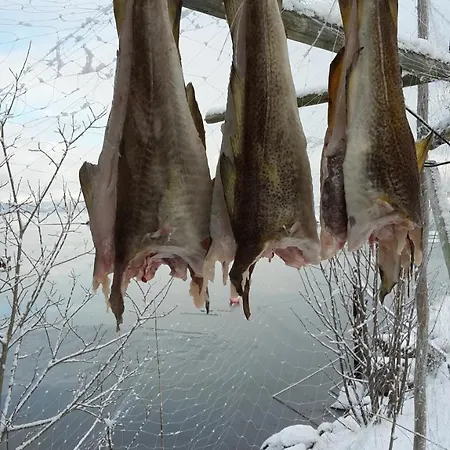 Prima Lofoten *