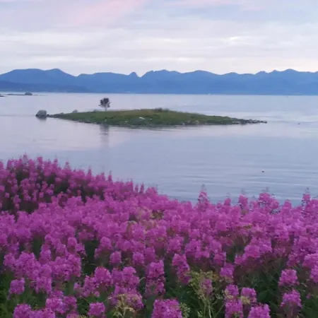 Prima Lofoten * Myrland