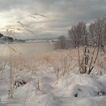 Lejlighed Prima Lofoten
