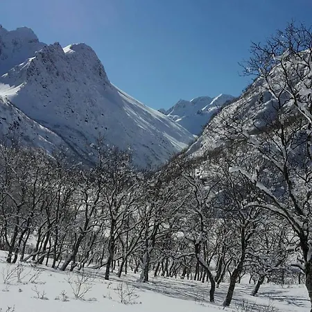 Prima Lofoten