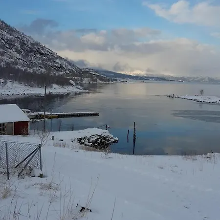 Prima Lofoten Lejlighed