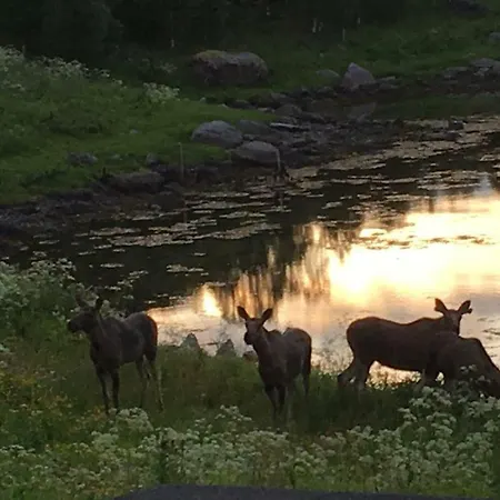 Lejlighed Prima Lofoten *