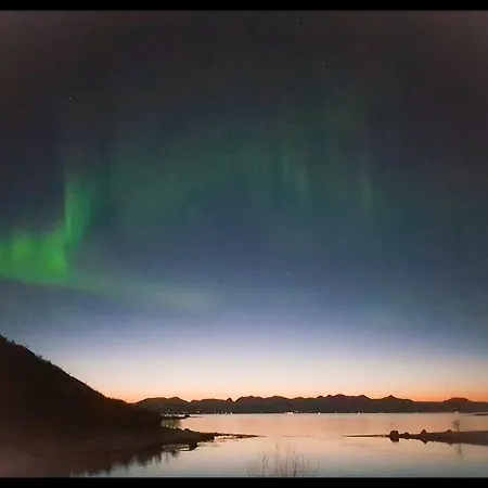 Lejlighed Prima Lofoten *