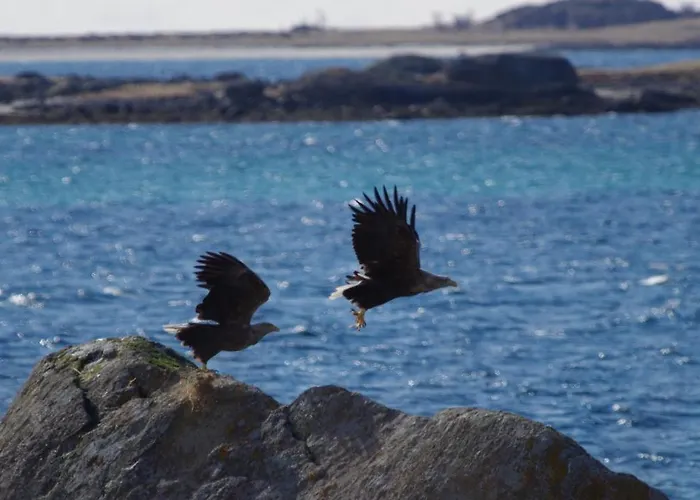 شقة Prima Lofoten Myrland