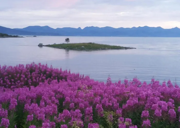 Prima Lofoten * Myrland