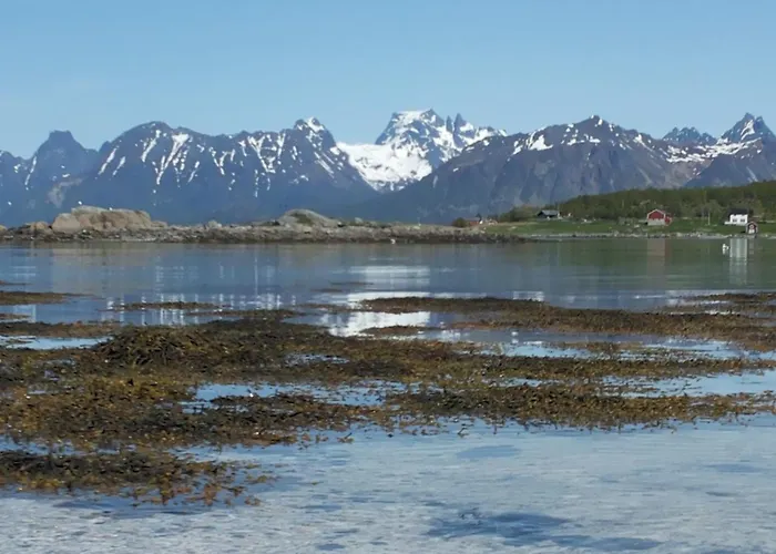 Prima Lofoten *