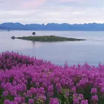 Prima Lofoten * Myrland